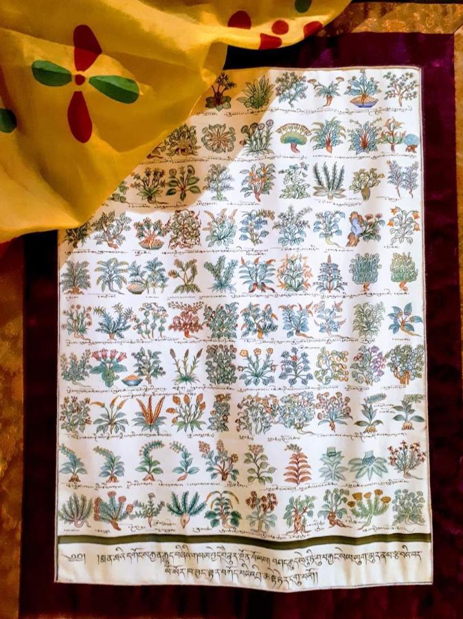 Nocleg ze śniadaniem Saluzzo Paesana 1718 Turyn